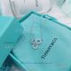 AAA Tiffany And Co Paper Flowers Diamond Necklace - 925 Silver (5)_th.jpg